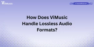 How Does ViMusic Handle Lossless Audio Formats?